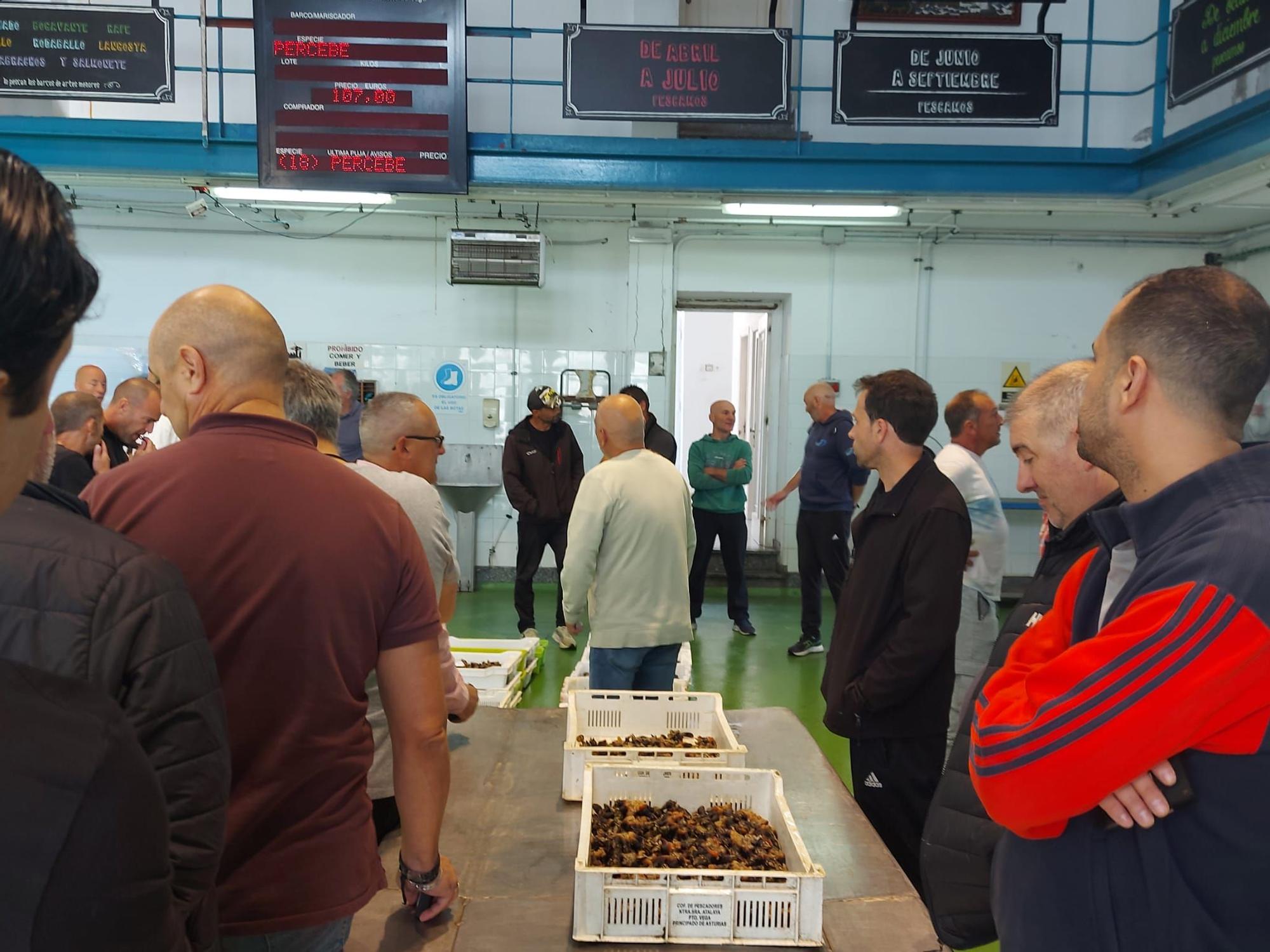 En imágenes: La primera subasta de percebe de la temporada en la rula de Puerto de Vega