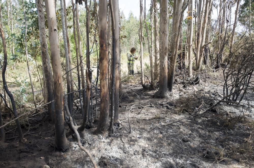 El día después en A Zapateira tras el incendio