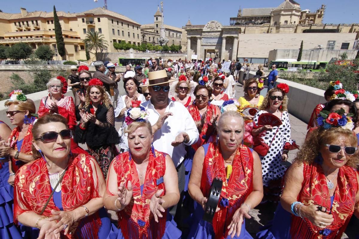 Camino de la Feria