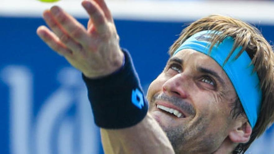 David Ferrer