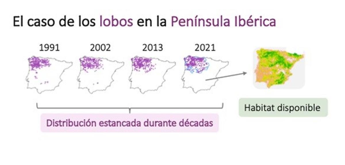 Mapa del estudio con la distribución por zonas