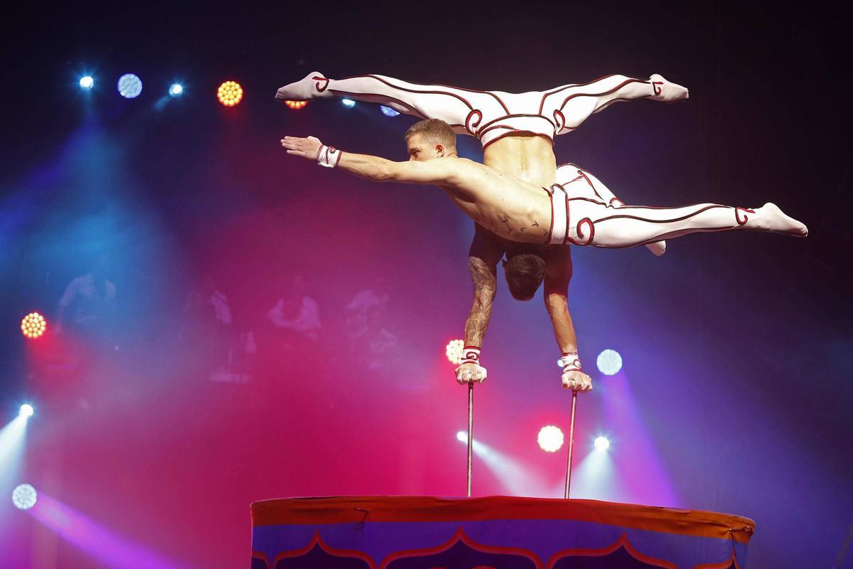 Les fotos d'alguns dels artistes del Festival Internacional del Circ de Girona 2026