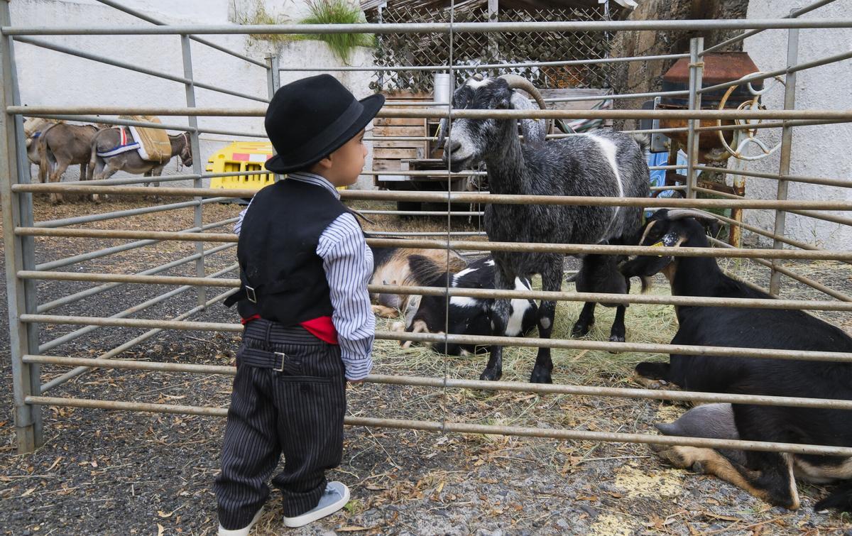 Feria El Sabor del Queso