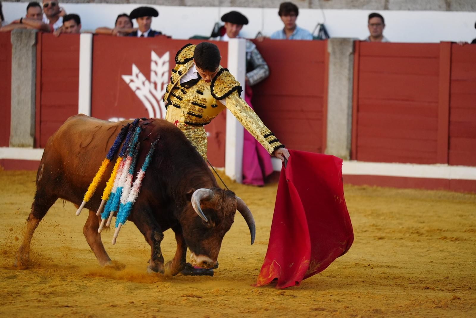 Quintana y De Gracia triunfan en Pozoblanco