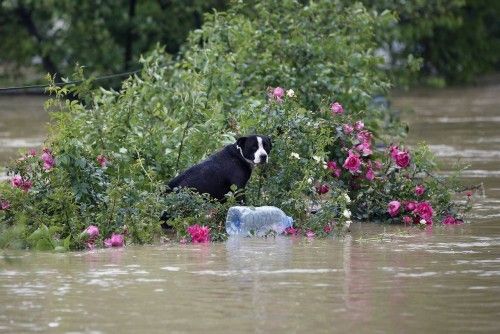 Devastadoras inundaciones en los Balcanes.