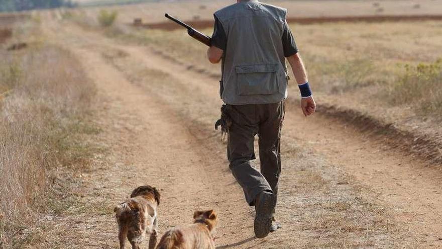 Un cazador avanza por un camino seguido de sus perros.