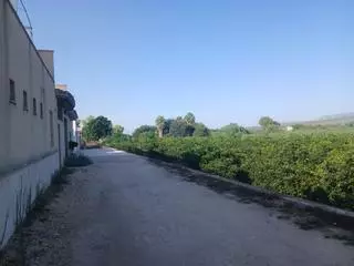 Una fuga en la red de agua de la Pobla Llarga deja dos meses sin riego una decena de campos de cítricos