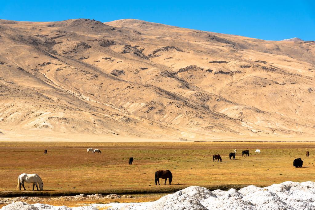 La paleta cromática pasa del verde intenso a los ocres y anaranjados en cuestión de meses.