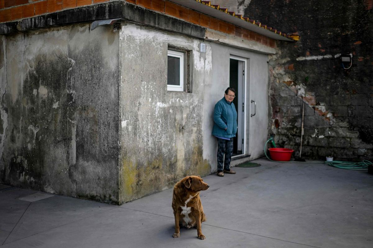 Bobi de 30 años, el perro más viejo del mundo según el Guinness World Records en Conqueiros, Portugal.