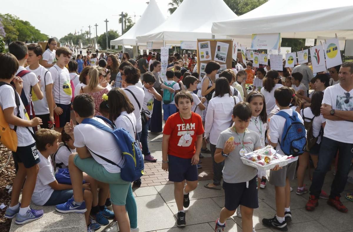 Fotogalería / Feria del Emprendimiento en el Vial Norte