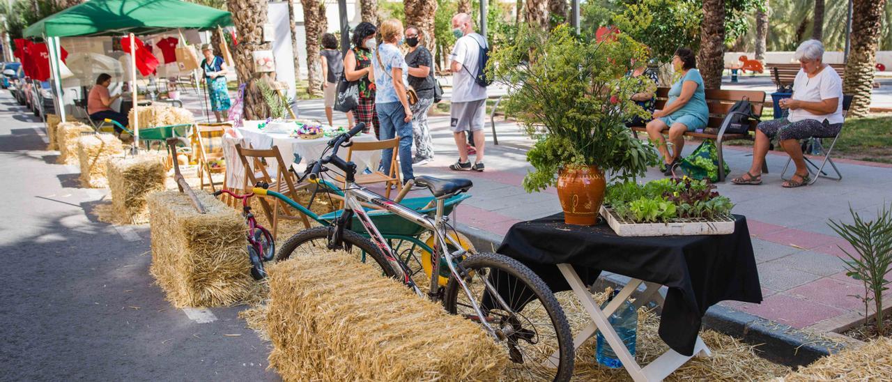 Un aparcamiento convertido en jardín, en la calle Filet de Fora, de Elche