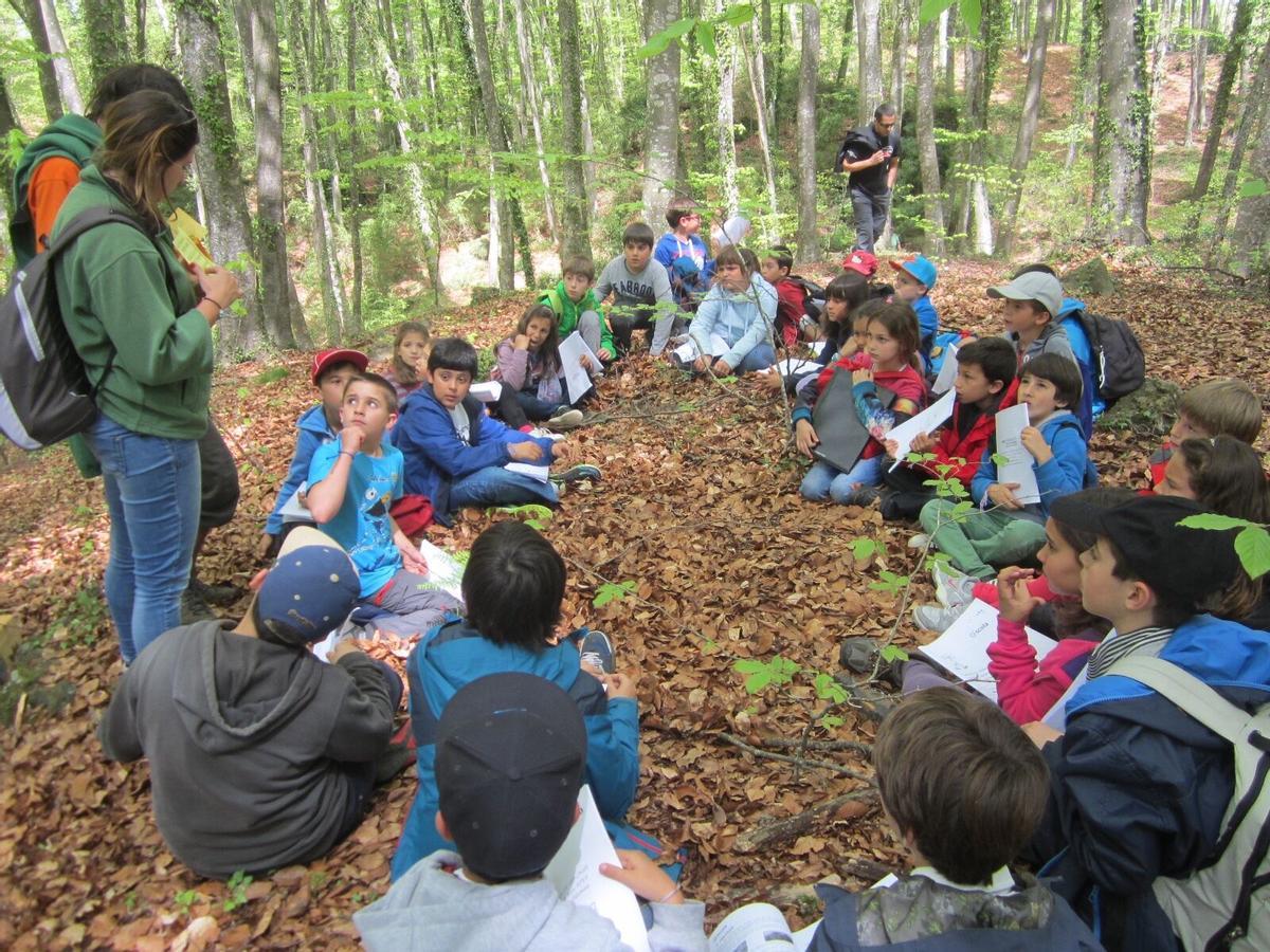 ESPECIAL ENSENYAMENT. FUNDACIO ESPLAI. CURSOS DE PREMONITOR I MONITOR. SORTIDA A LA FAGEDA D EN JORDA