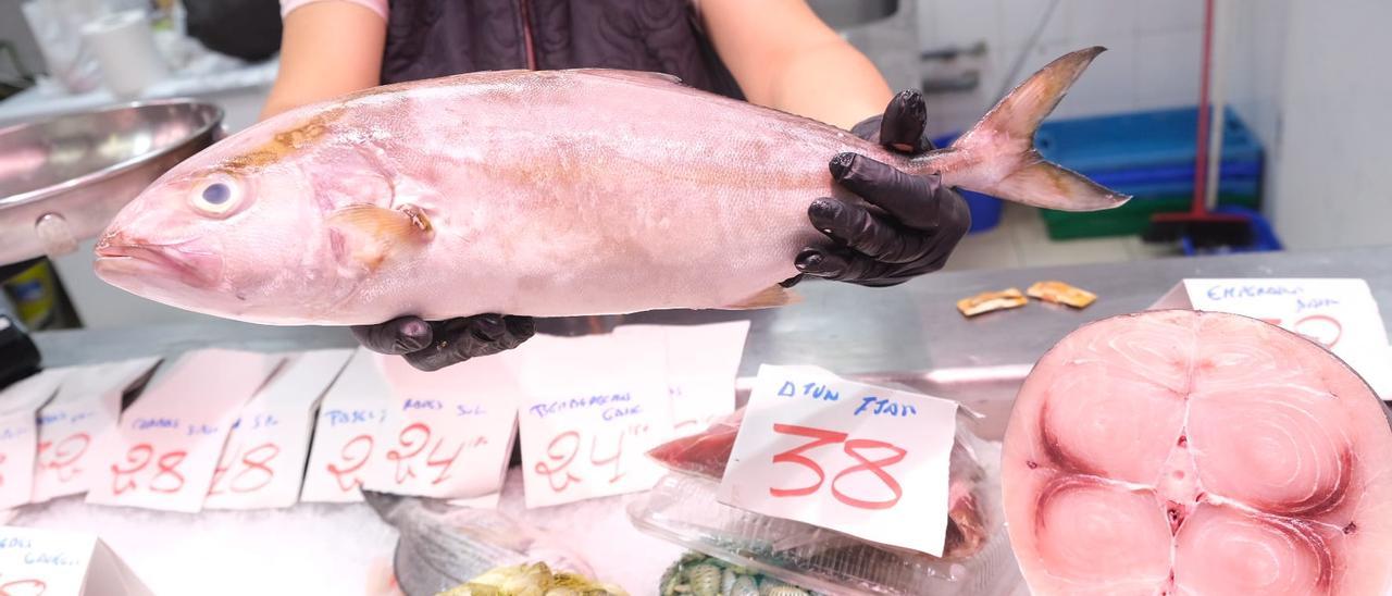 Una pescadera del Mercado Central de Alicante muestra un ejemplar espectacular de seriola (lechola)  salvaje esta semana.