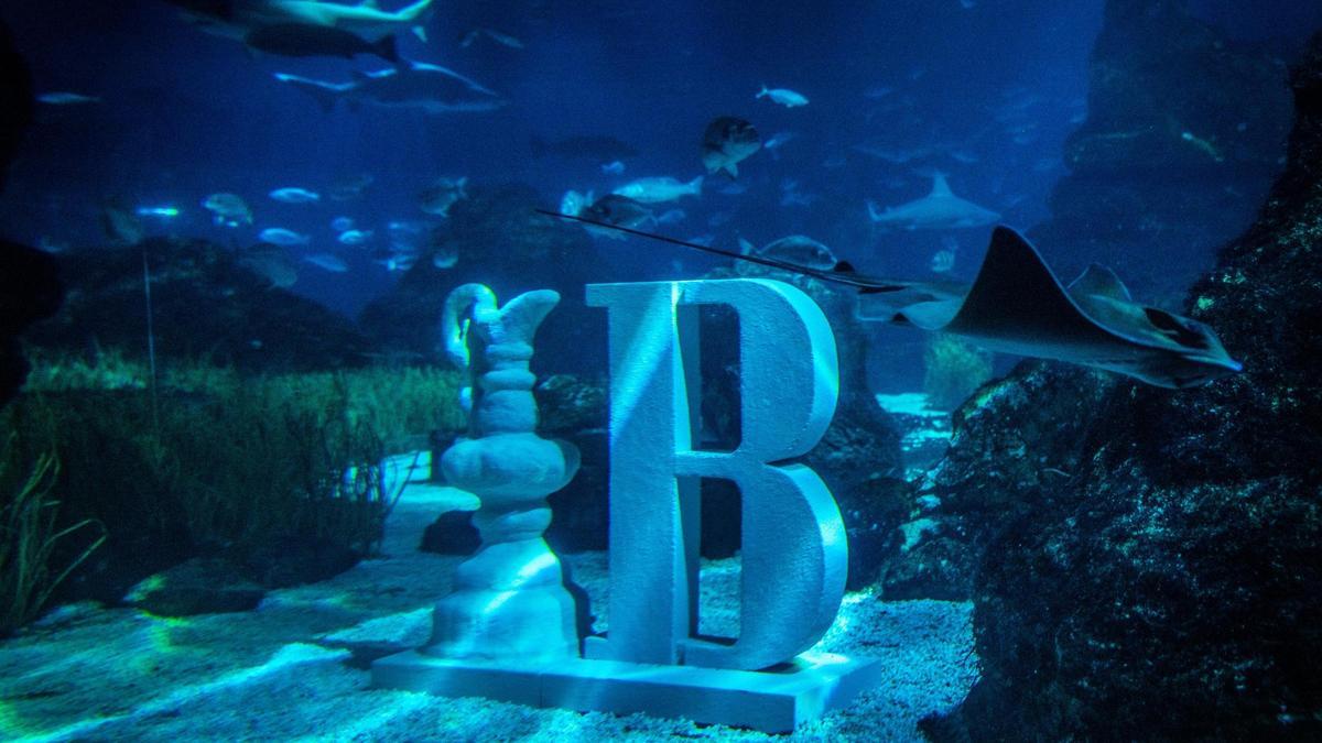 Biotopo con la forma de la Copa América en el Aquarium de Barcelona.