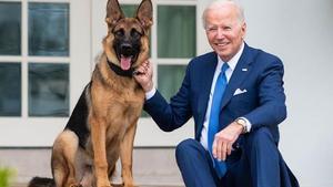 Joe Biden, junto a su perro Commander.
