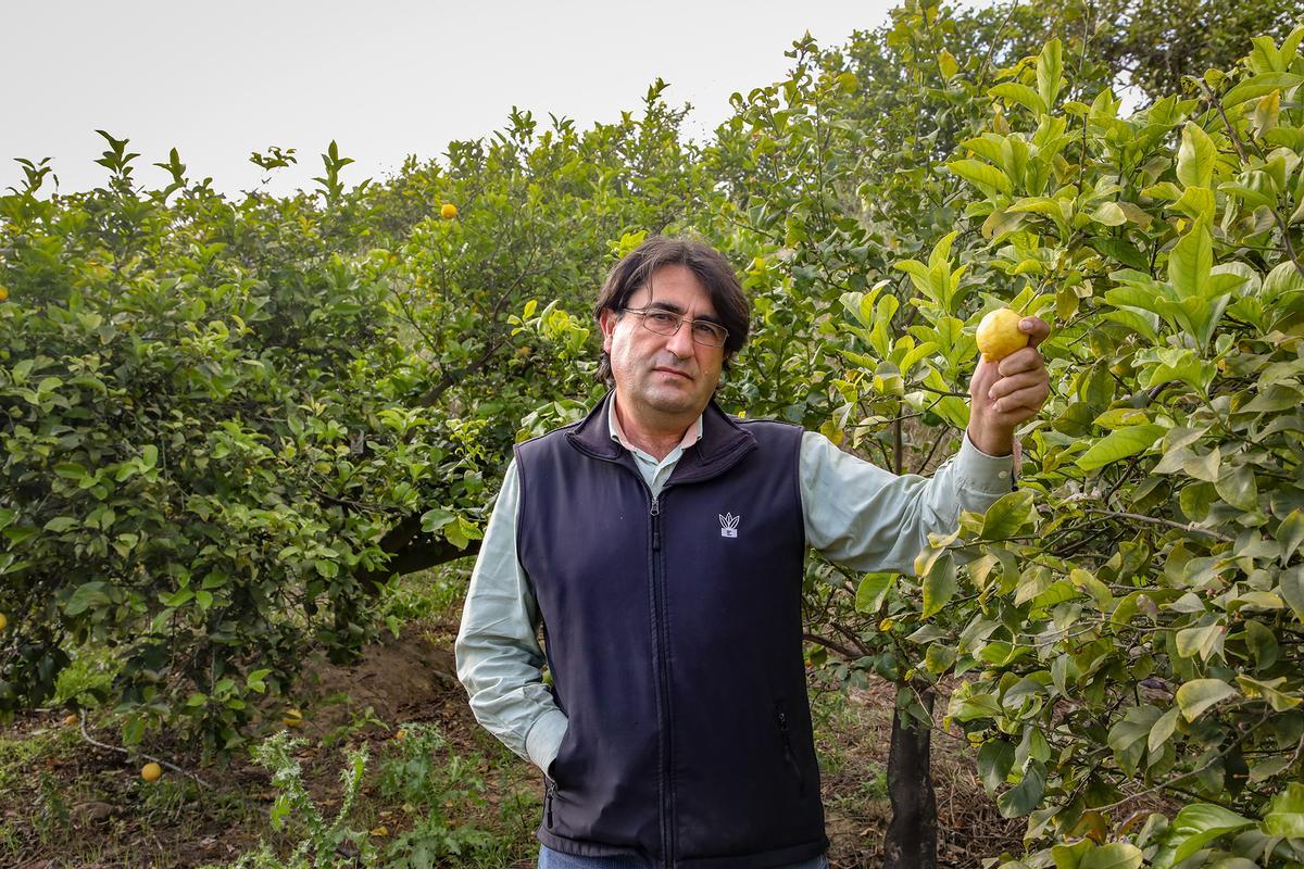 José Vicente Andréu junto a sus árboles frutales