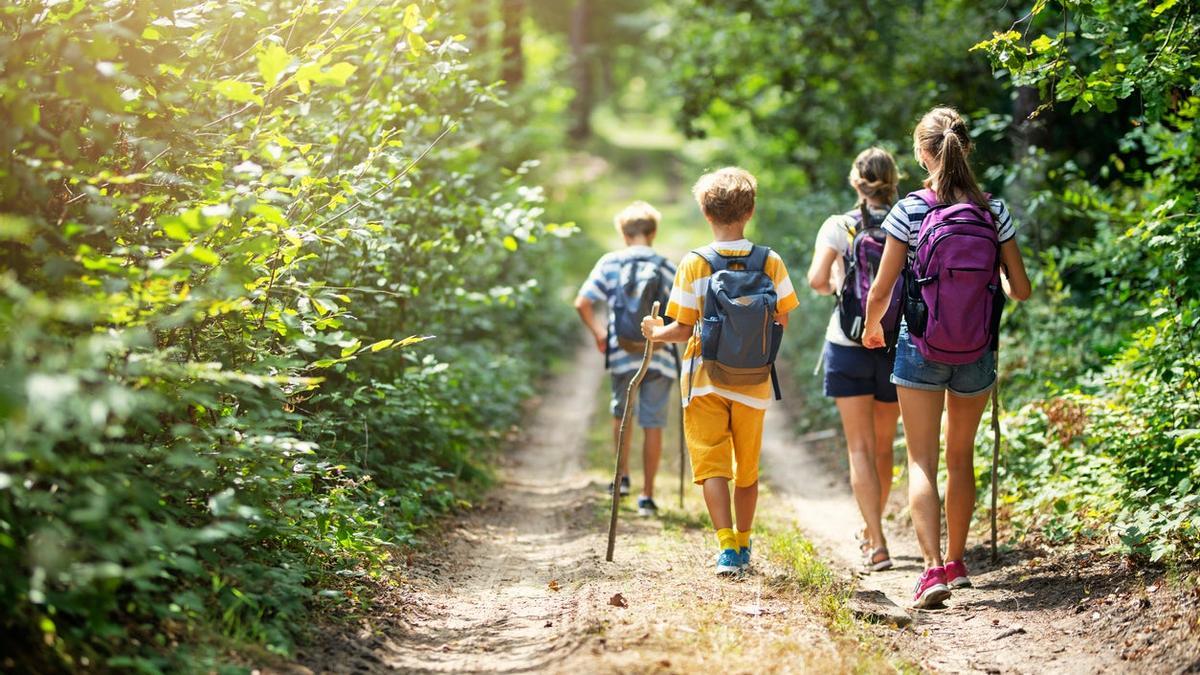 Niños excursión