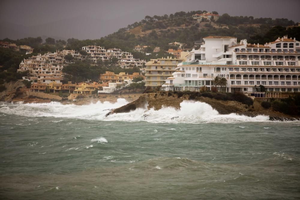 Búsqueda por la costa del joven  desaparecido en Santa Ponça