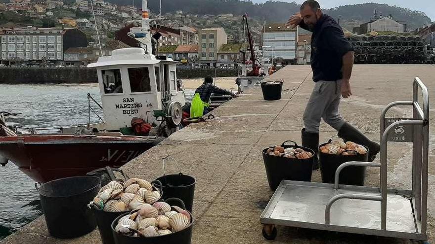 El patrón mayor mide en la lonja el tamaño del marisco. // S.Álvarez