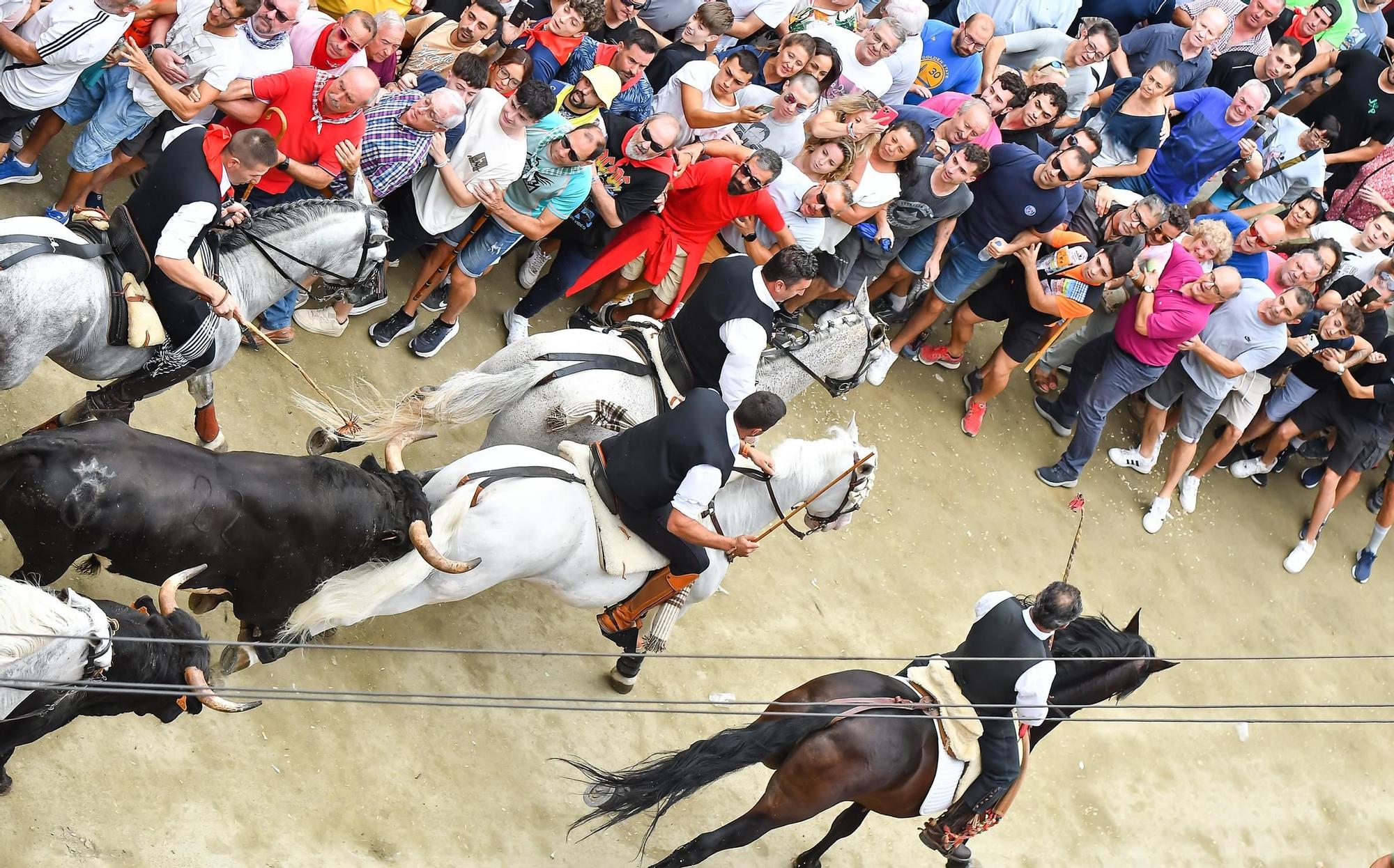 La quinta Entrada de Toros y Caballos de Segorbe, en imágenes