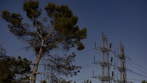 El preu de la llum baixa fins als 65,35 euros/MW h, el segon més baix de l’any