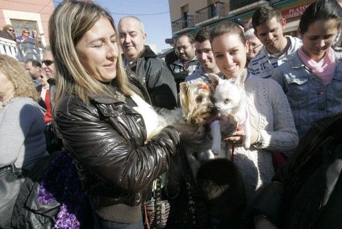 Bendición de animales en Cartagena por San Antón