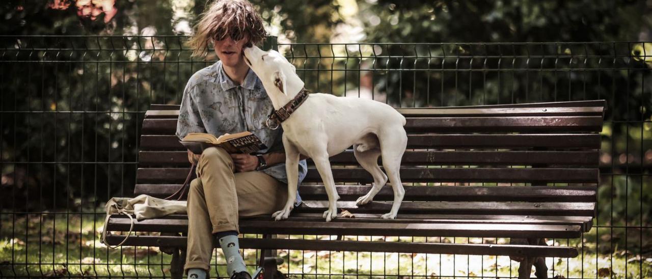 Vicente Fernández, con su perro «Steve McQueen», en el Campo San Francisco. | Irma Collín