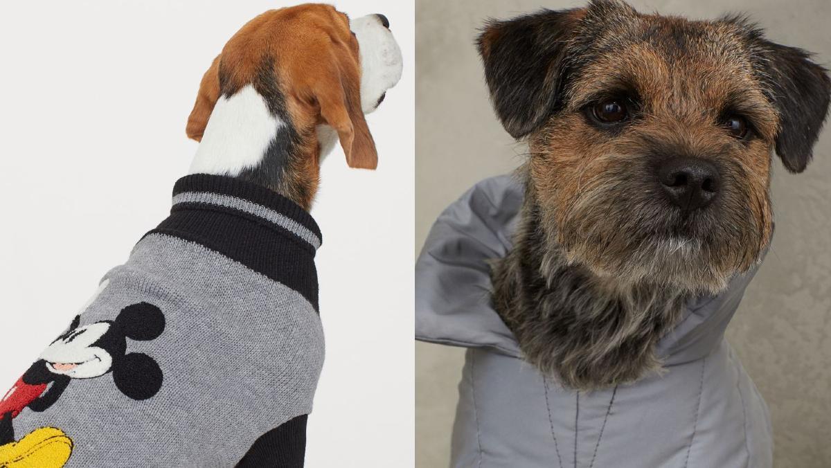 H&amp;M incluye ahora en su catálogo dos chalecos acolchados y un jersey para perros.