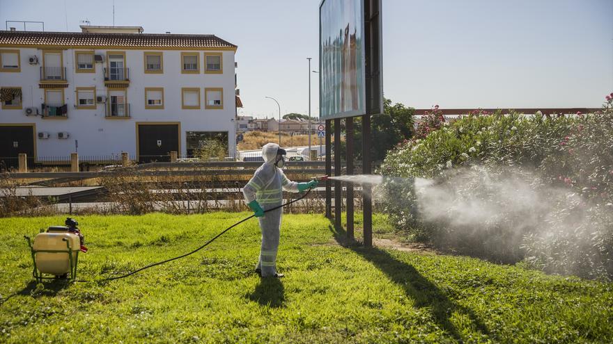 Andalucía intensifica el control ante las enfermedades por los mosquitos: &quot;Además de las fotos de las vacaciones, los viajeros traen virus&quot;