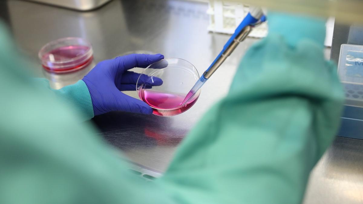 Una bióloga trabaja en el laboratorio.