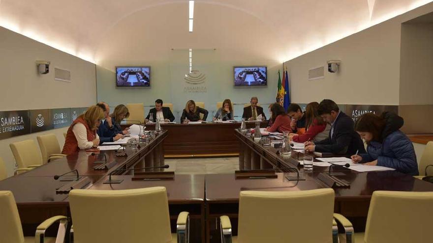 La Asamblea de Extremadura aprobará la ley para combatir el calor en los colegios