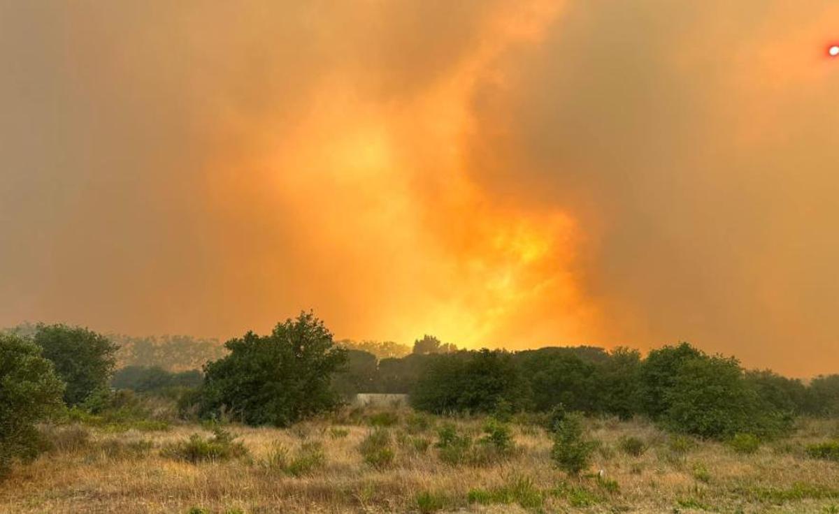 Un incendi a la Catalunya Nord obliga a desallotjar vivendes i càmpings Un incendi a la Catalunya Nord obliga a desallotjar vivendes i càmpings