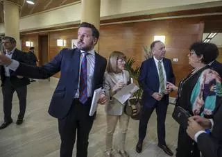 Seis exconcejales y cinco miembros de la lista de Ruz, entre los 21 asesores de PP y Vox en Elche