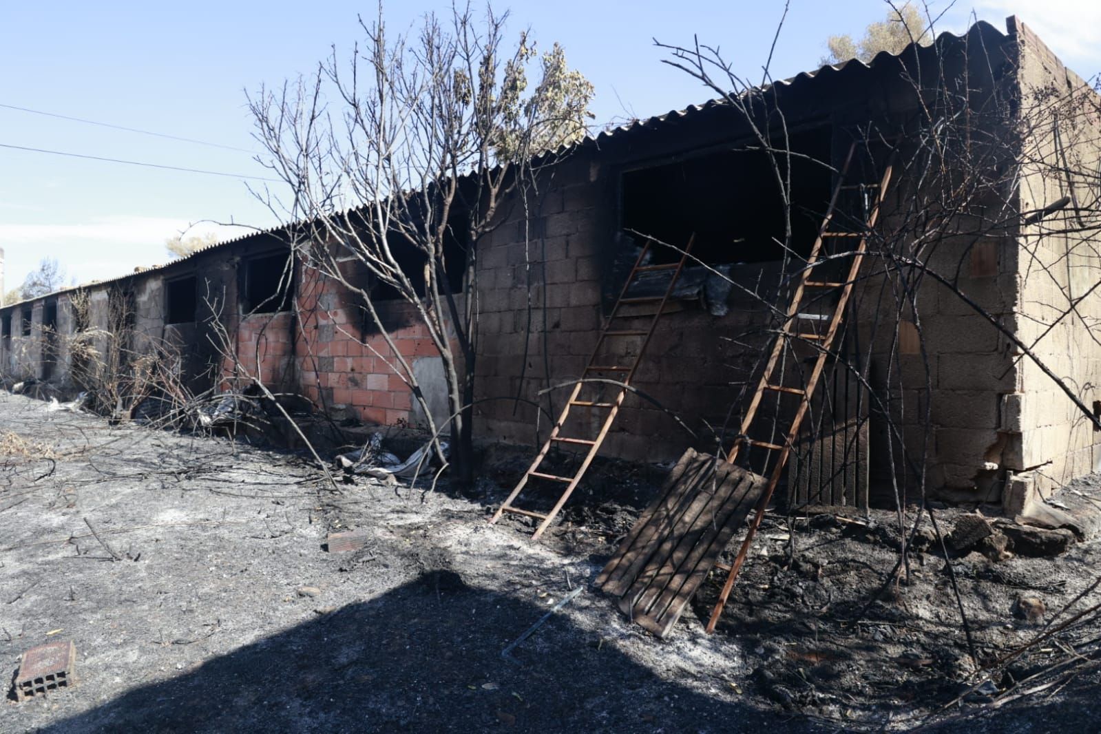 Las consecuencias del incendio de Bejís en Teresa