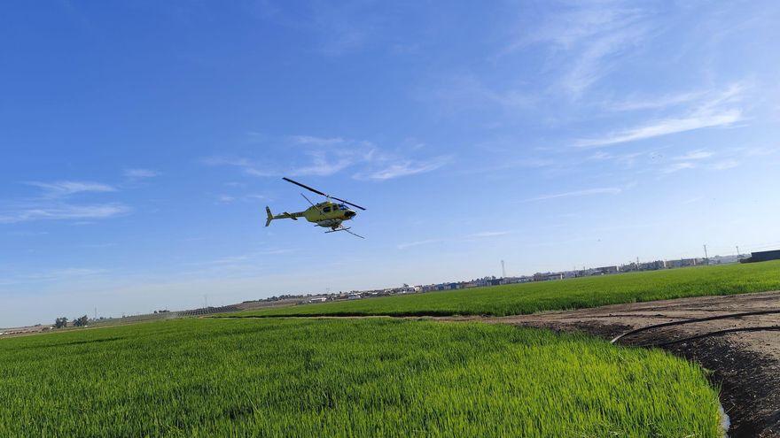 El cambio climático: un caldo de cultivo para el virus del Nilo y otras plagas