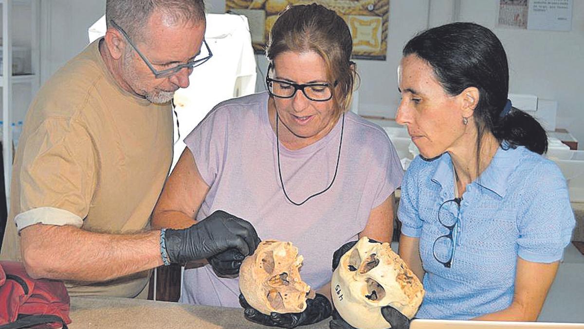 Miembros del equipo de arqueólogos analizan dos cráneos.