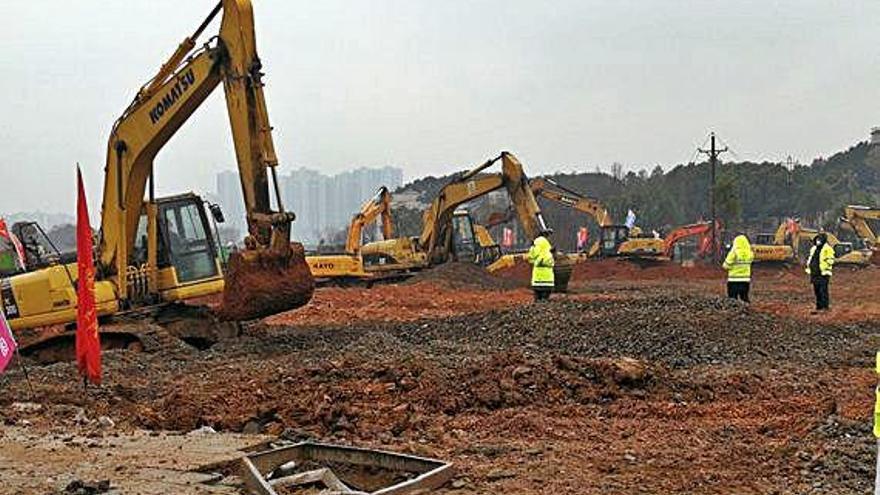 Varias excavadoras trabajan en el lugar donde se va a construir el nuevo hospital.