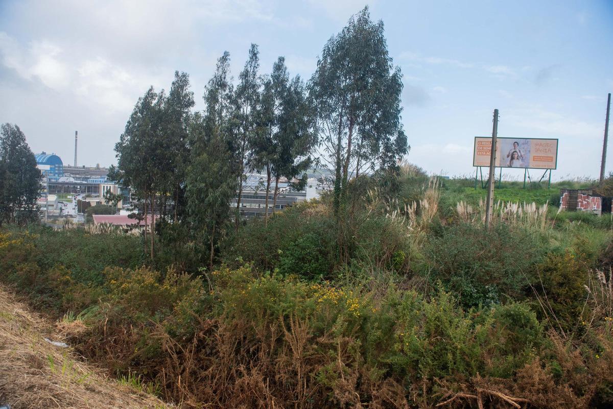 Terreno donde se proyecta instalar el parque de baterías eléctricas, con Marineda City al fondo de la imagen.