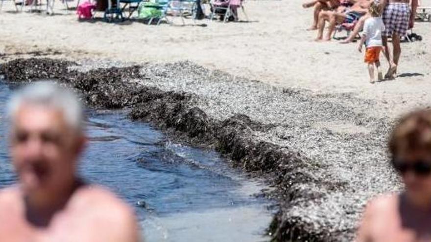 Indignación entre los vecinos de la Cala de Finestrat por la falta de limpieza de su playa