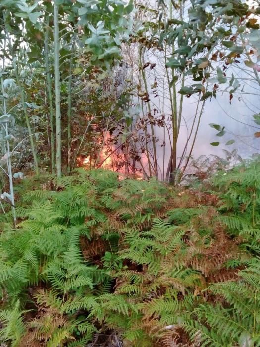 Sofocan dos incendios forestales en Sada