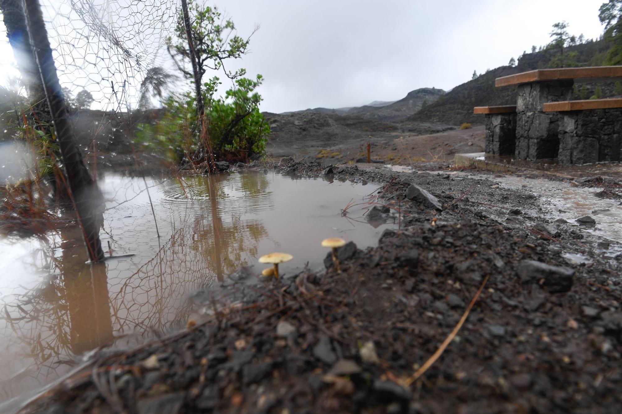 Las lluvias vuelven a caer en Gran Canaria