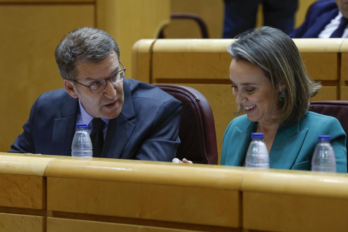 El líder del PP, Alberto Núñez Feijóo, y la secretaria general, Cuca Gamarra, en el pleno.
