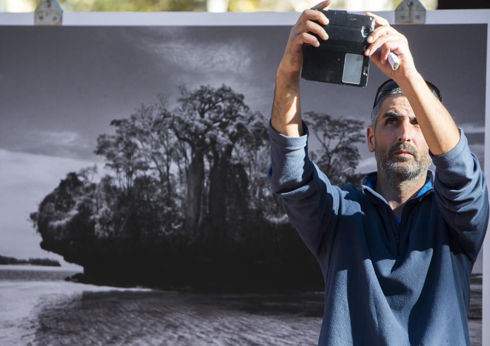 Génesis, exposición de Sebastiao Salgado