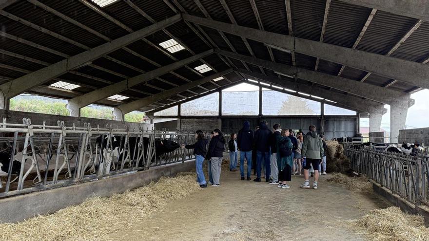 El campo sí atrae a jóvenes en Galicia: más demanda que plazas para cursar ciclos formativos agrarios en los centros de Medio Rural