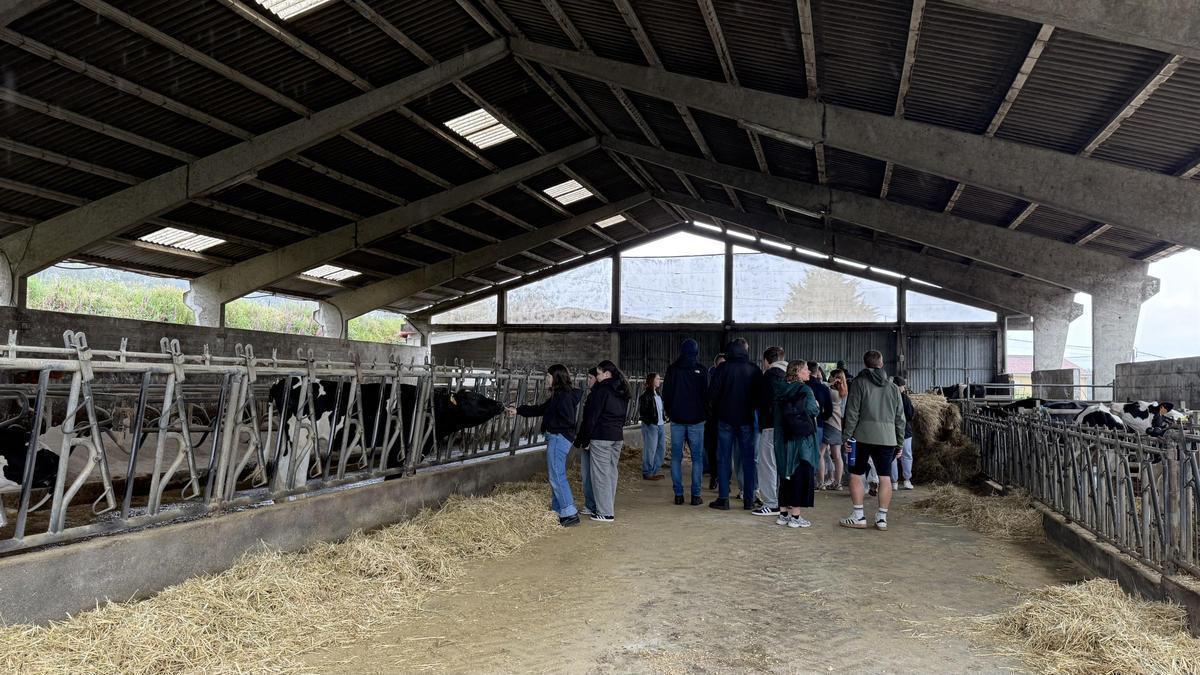 Jóvenes en el centro de formación agraria de Sergude, en Boqueixón