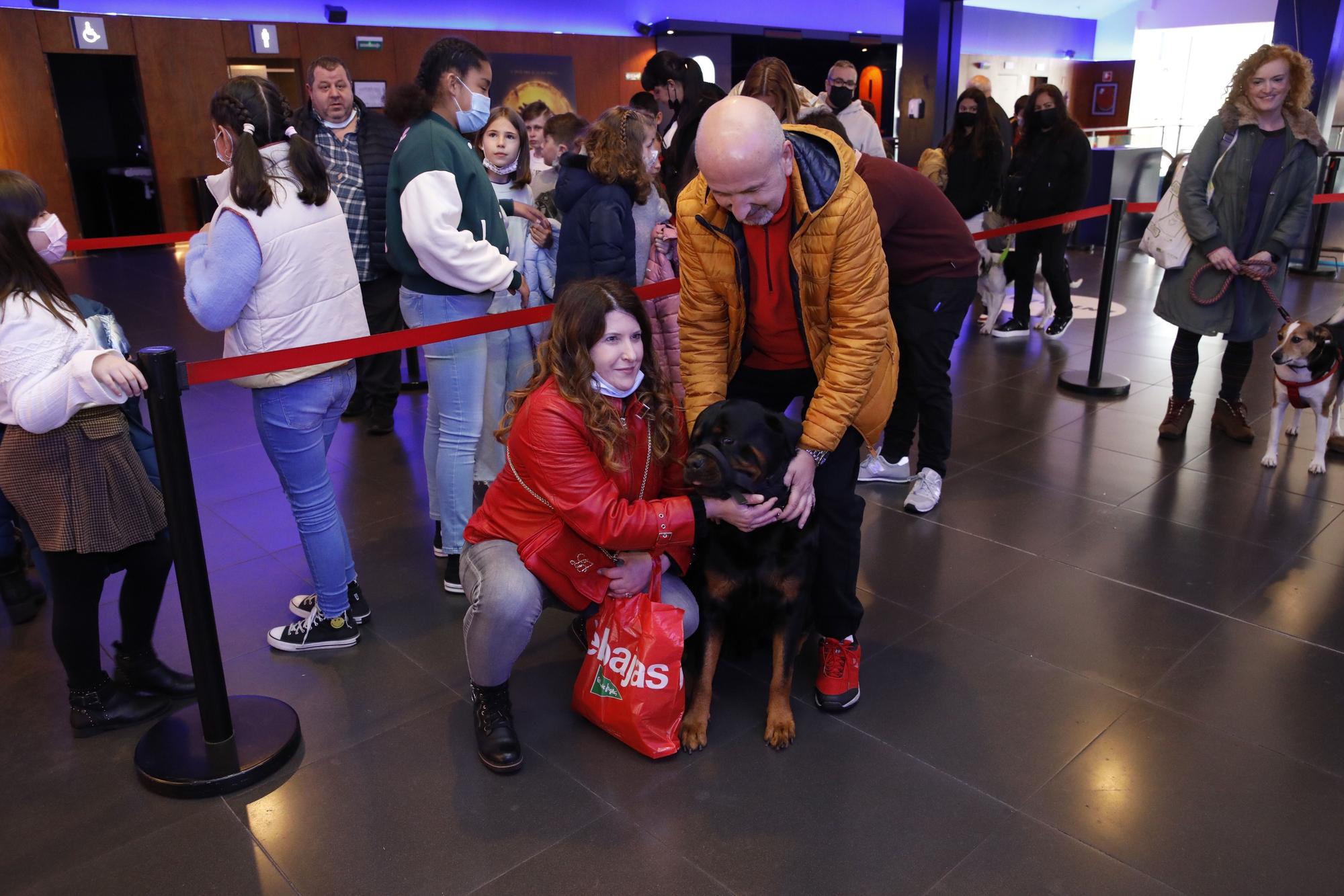 En imágenes: los perros ya van al cine en Gijón