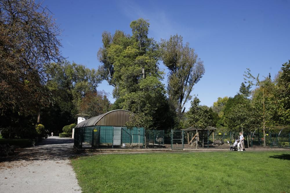 El parque Isabel la Católica supera las 600 aves