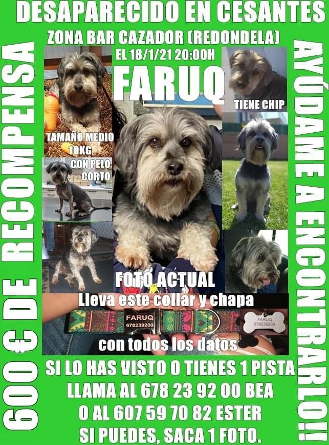 Cartel de búsqueda de Faruq.