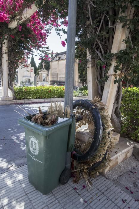 Visitantes critican la imagen actual del camposanto de la capital, que acumula falta de mantenimiento y de limpieza.