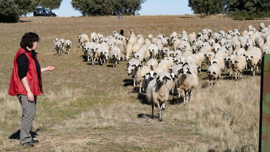 UPA-COAG exige en el 8M medidas para incorporar mujeres al campo